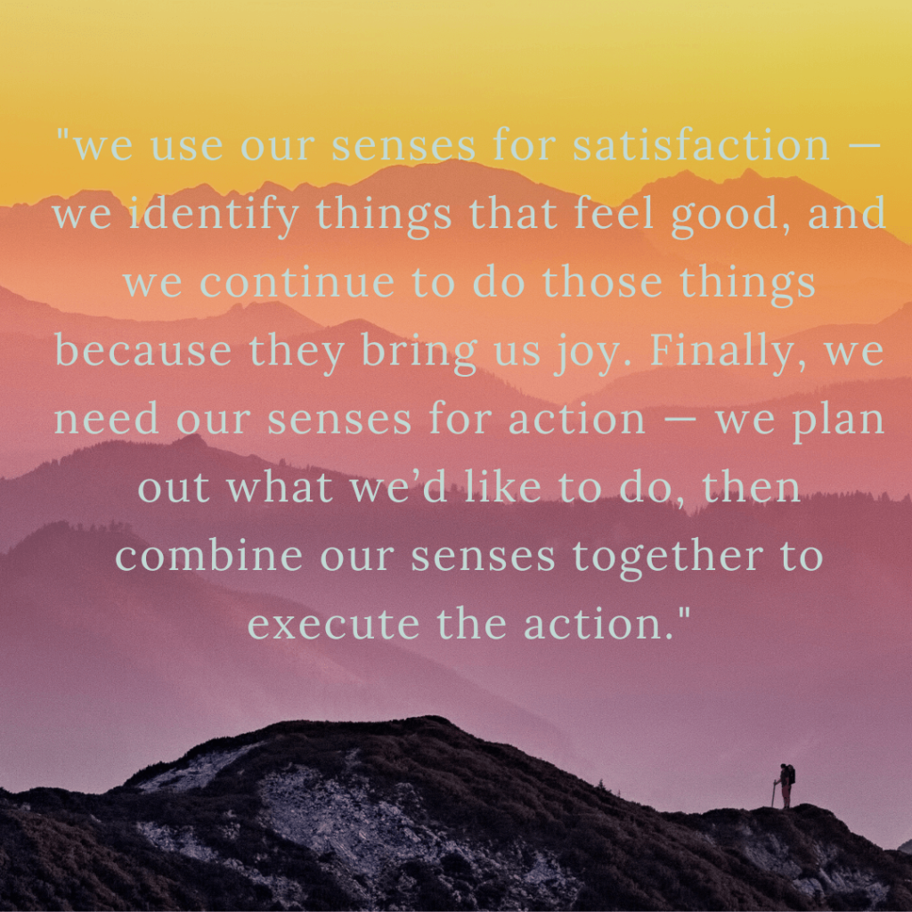 how we use our senses?